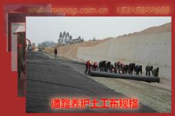 道路養(yǎng)護(hù)土工布規(guī)格